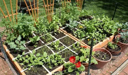 Que faire au jardin à l'automne ?