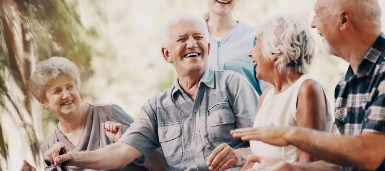 Terre des seniors