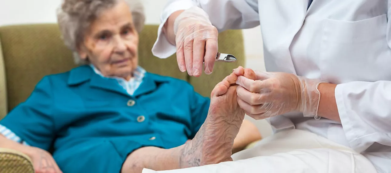 ongles de pieds senior
