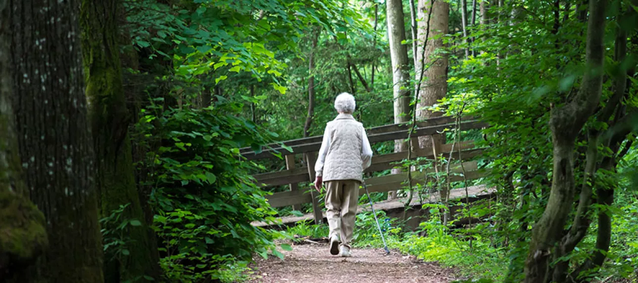Service Civique Solidarite Seniors