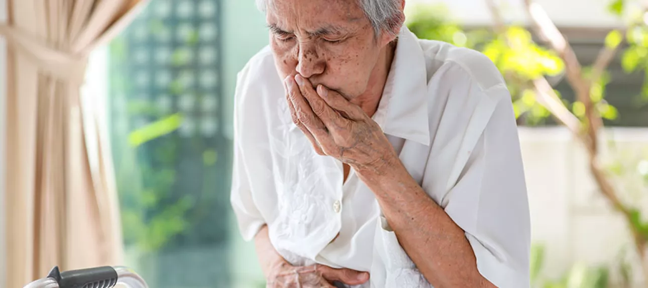 vomissement senior