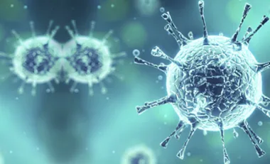 Virus d'hiver : comment s'en protéger